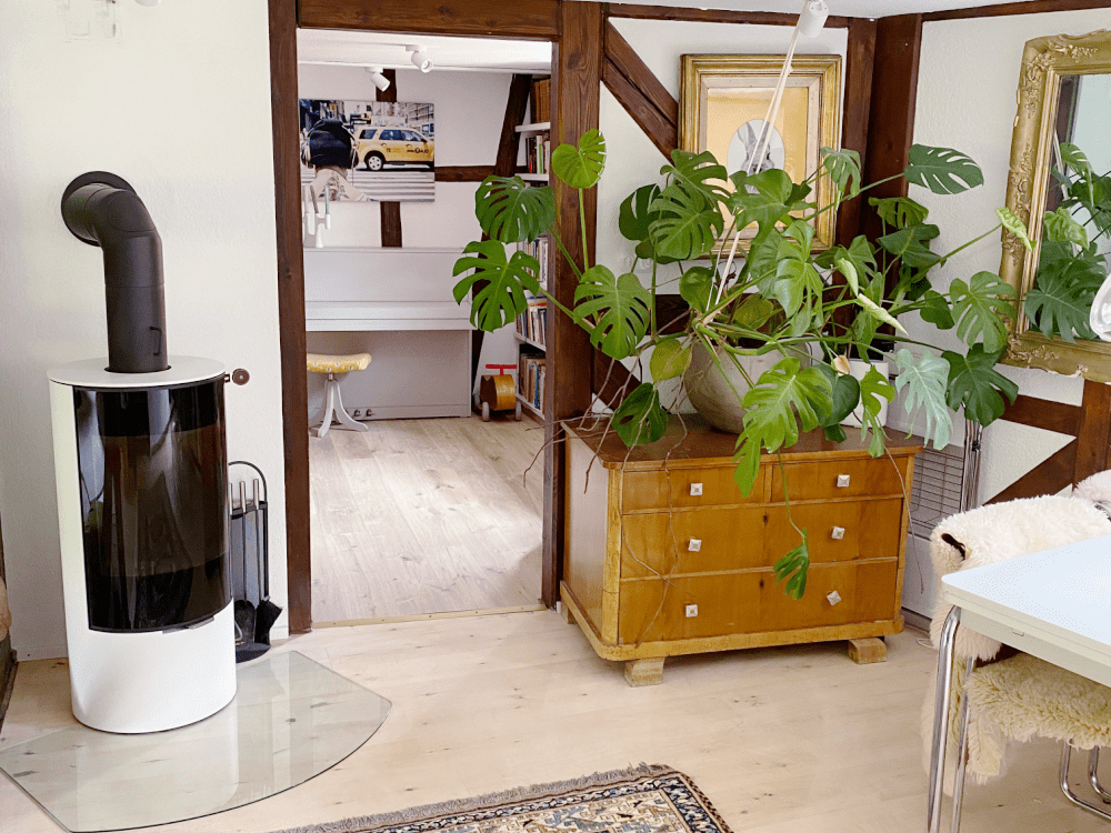 neuen Kaminofen fürs Wohnzimmer